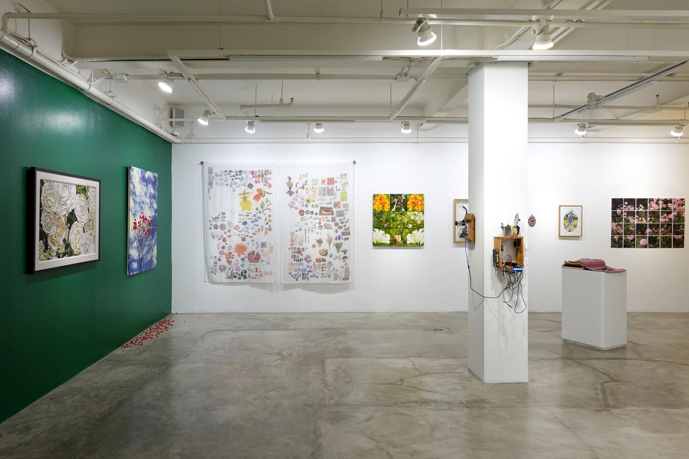 2023: There are always flowers for those who want to see them