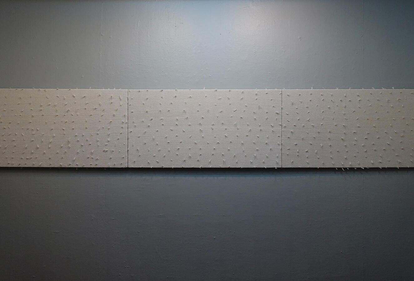 SOLO EXHIBITION: A Glimpse of a Field