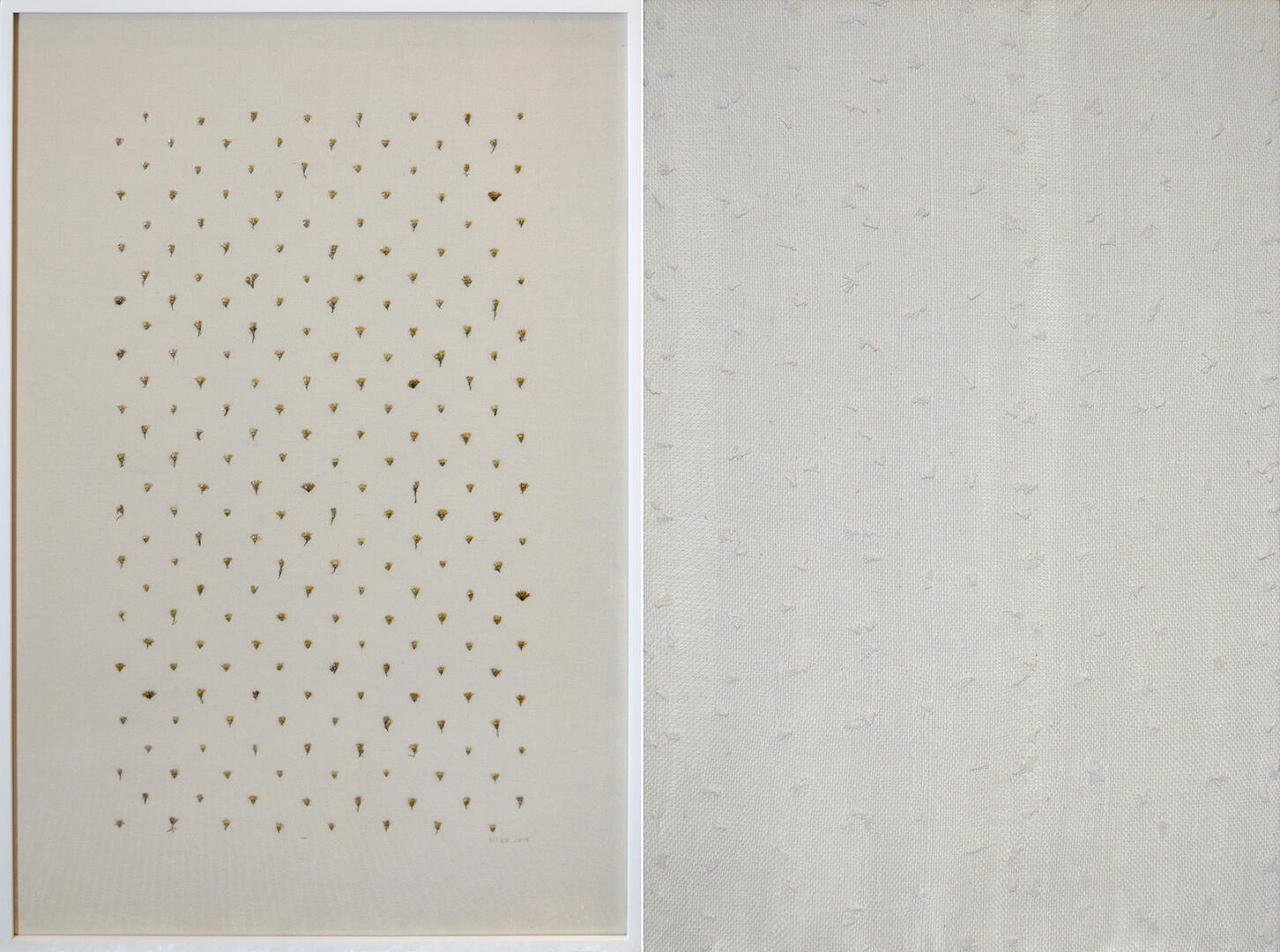 Before Wildflowers - Dried flowers on canvas and cotton textile woven by artist - 3 x 2 feet (each) (diptych) - 2018-2019