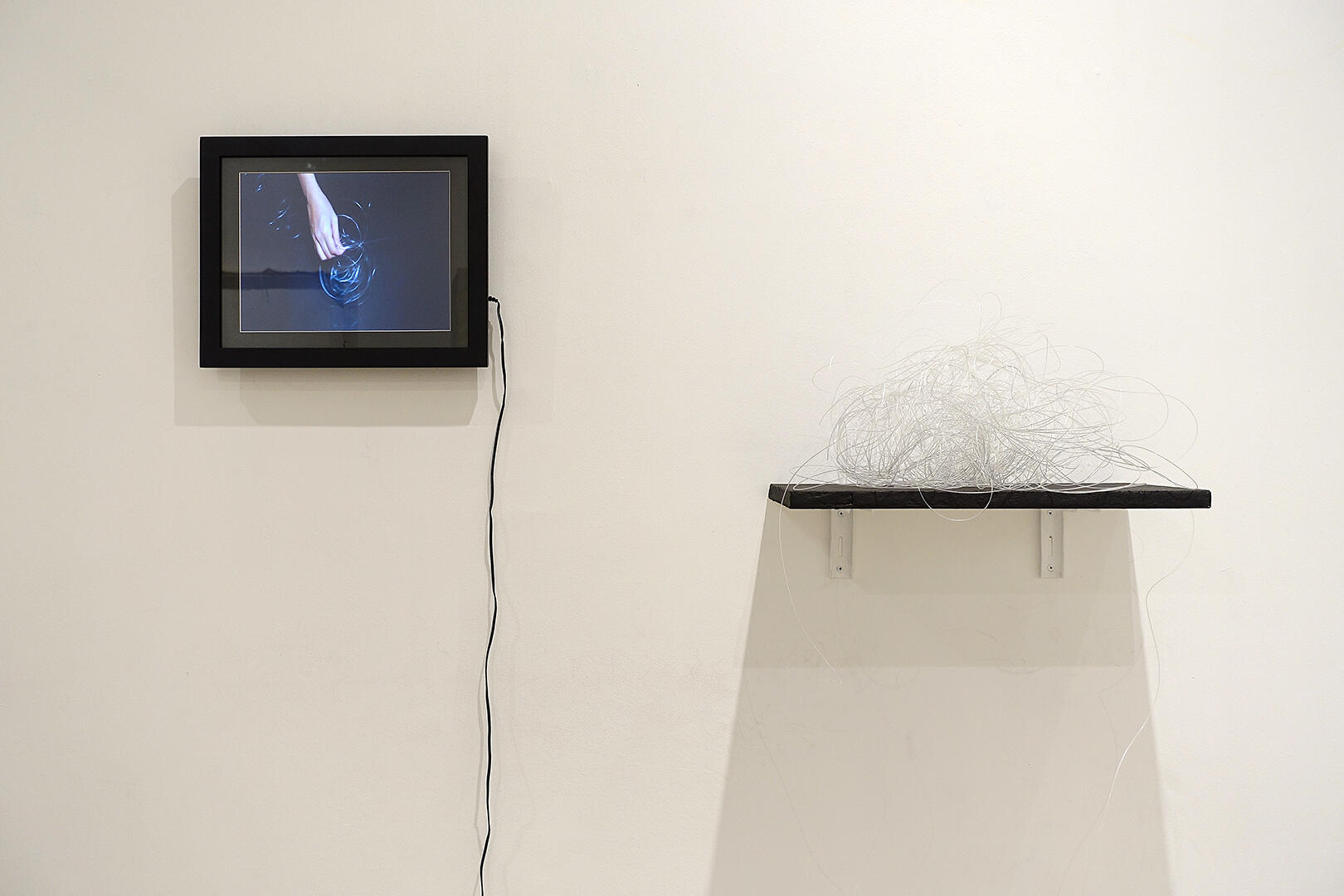 Making Sense of Everythi--Anything - Video and nylon - Variable - 2015