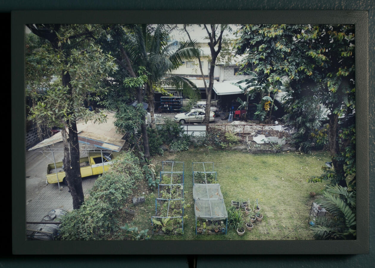 Garden Guirayan St. - Light box - 8.75 x 11.75 inches - 2016