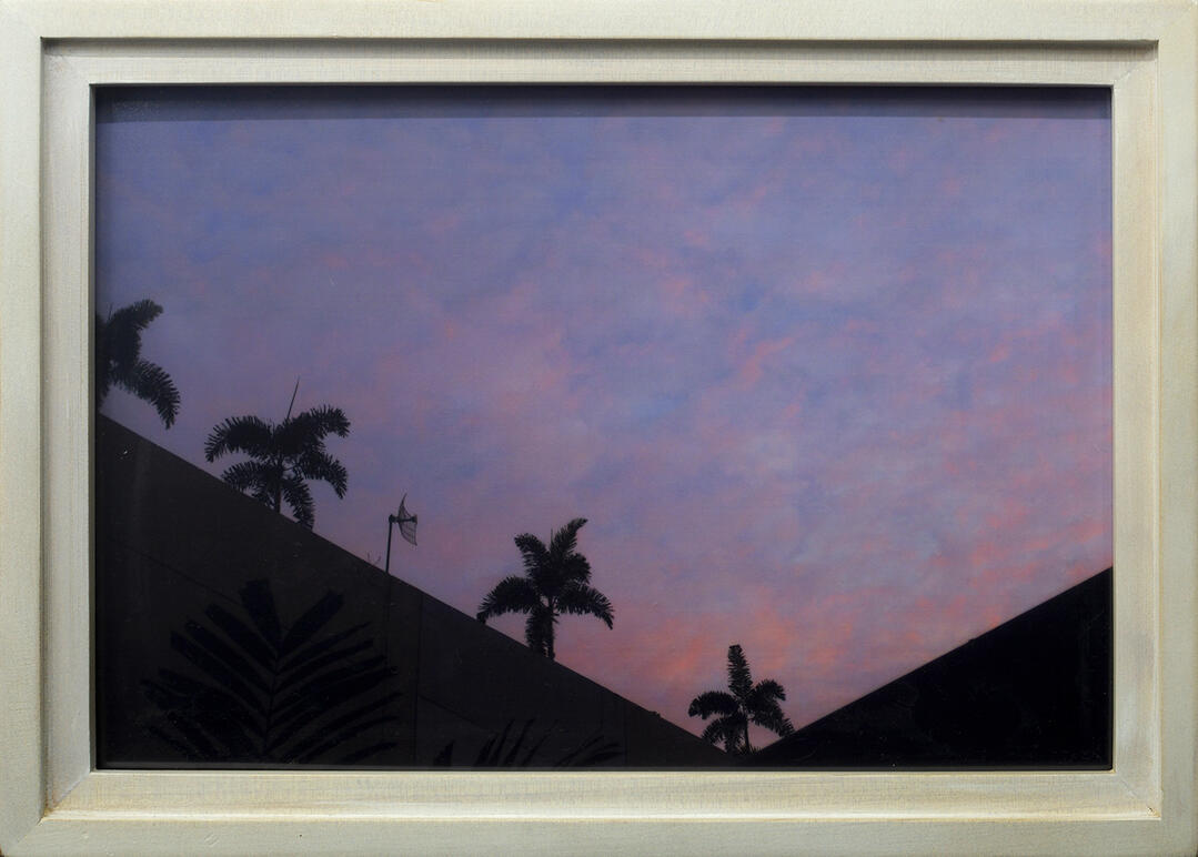 Hazy - Digital photograph, plexiglass - 24.4 x 34.1 cm (FS) - 2016 for "Ghosting", West Gallery (photo courtesy of West Gallery)