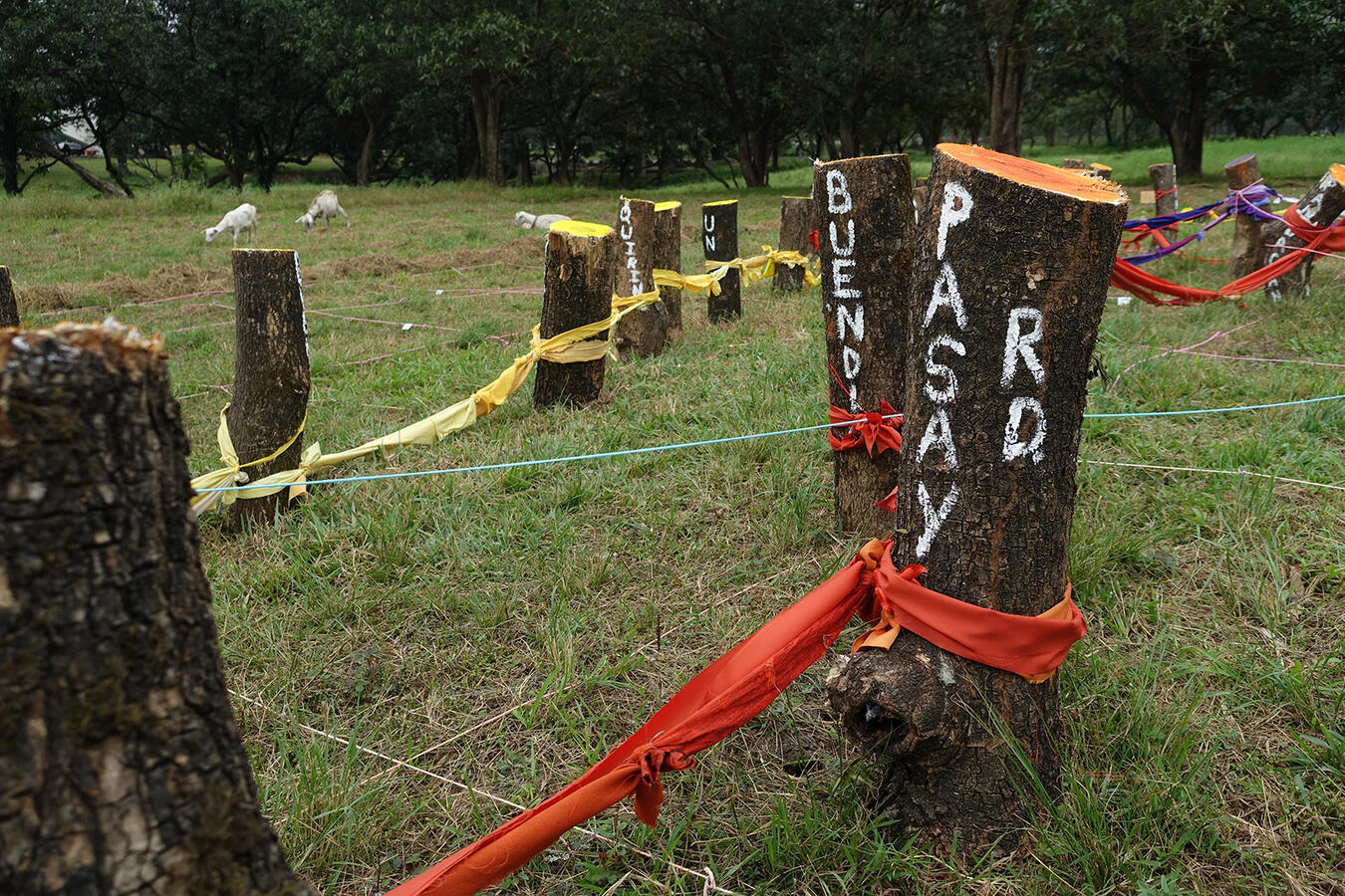 Project: Plot the Riles