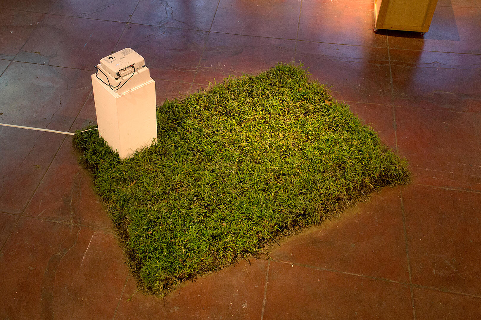 Displaced - Grass - 4 x 6 feet - 2017 for "D", Vinyl on Vinyl