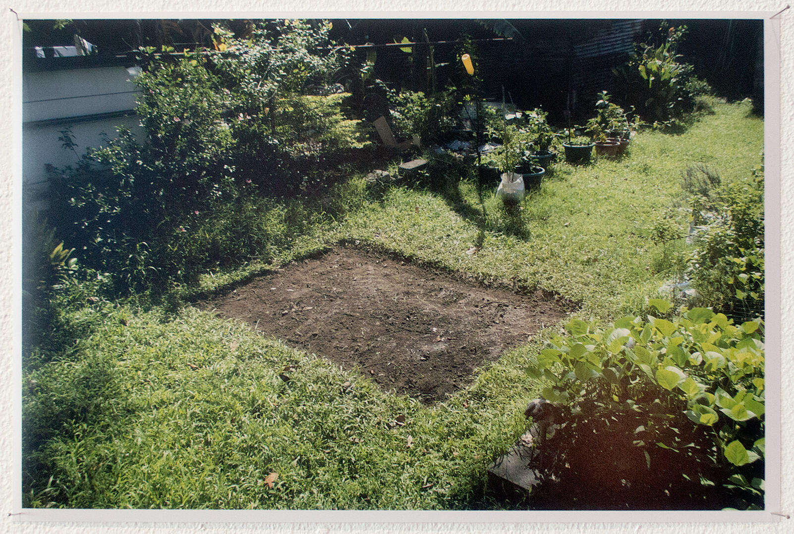 Displaced - Photograph - 2017 for "D", Vinyl on Vinyl