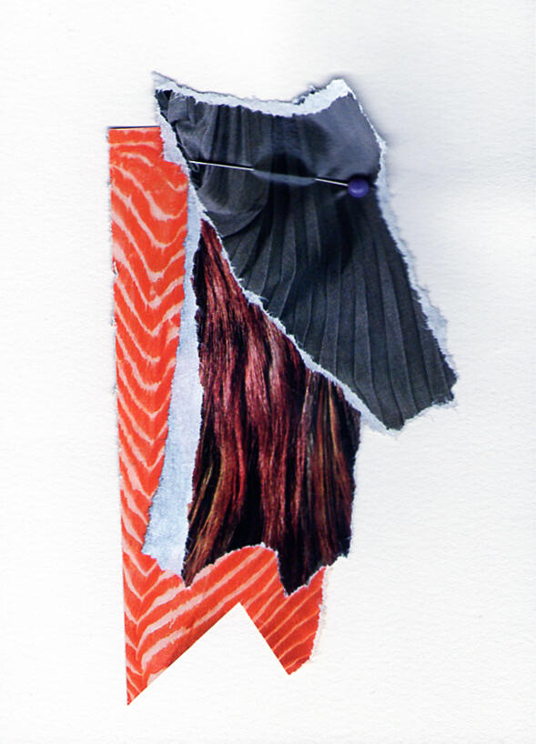 Sample Textiles (and Meat) - Collage - 2013