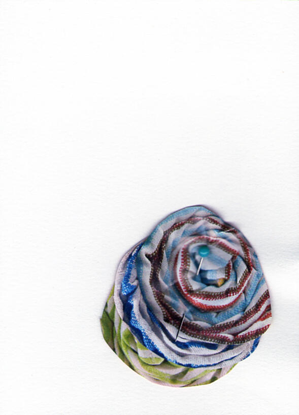 Sample Textiles (and Meat) - Collage - 2013