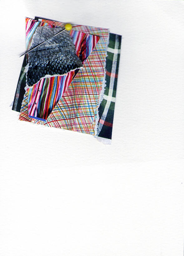 Sample Textiles (and Meat) - Collage - 2013