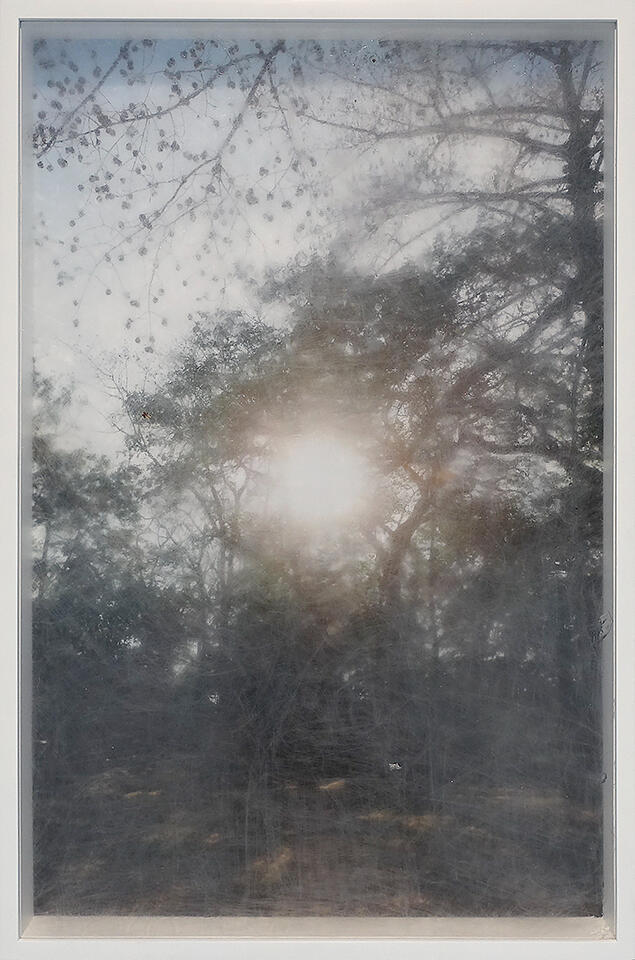 For A Little While - Stained plexiglass, photograph, frame - 23.5 x 35.5 inches - 2024
